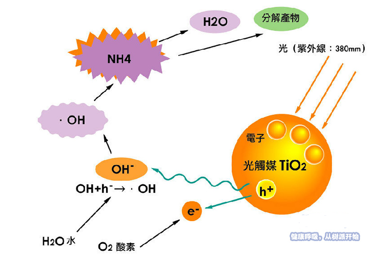 泸州除甲醛机构