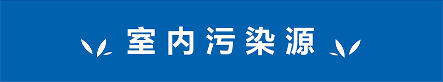 泸州甲醛治理品牌