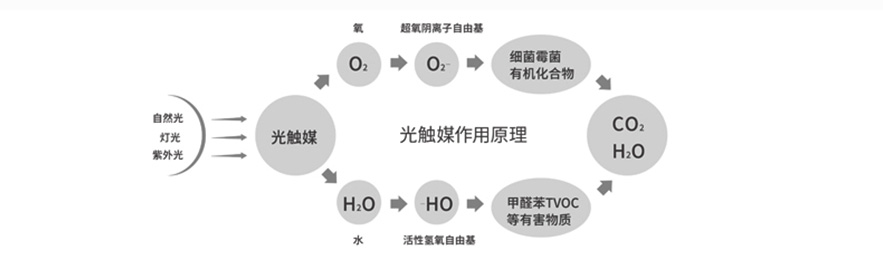 泸州甲醛治理品牌