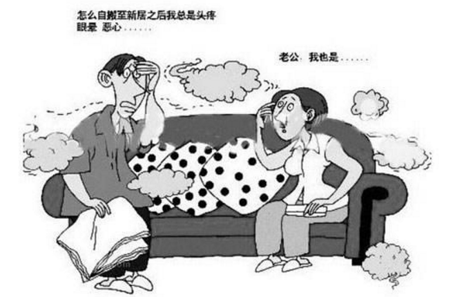 泸州除甲醛哪家强